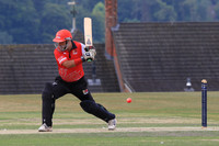 Over 50's Marlborough Festival 2022